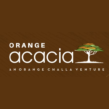 Orange Acacia